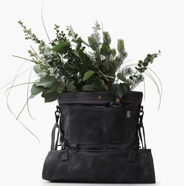 27EBE297-22C4-4777-A687-CF447F934908