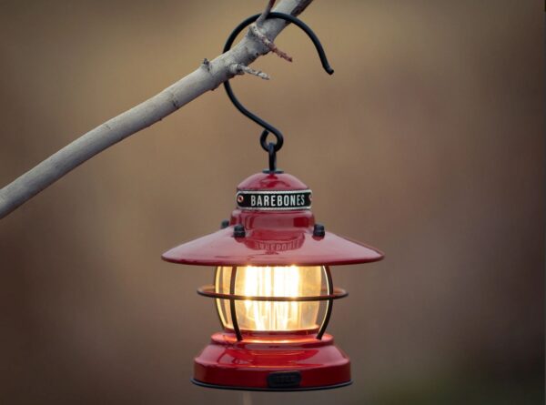 483A1A9E-241E-41A4-8BF8-0B014CF4EDE1