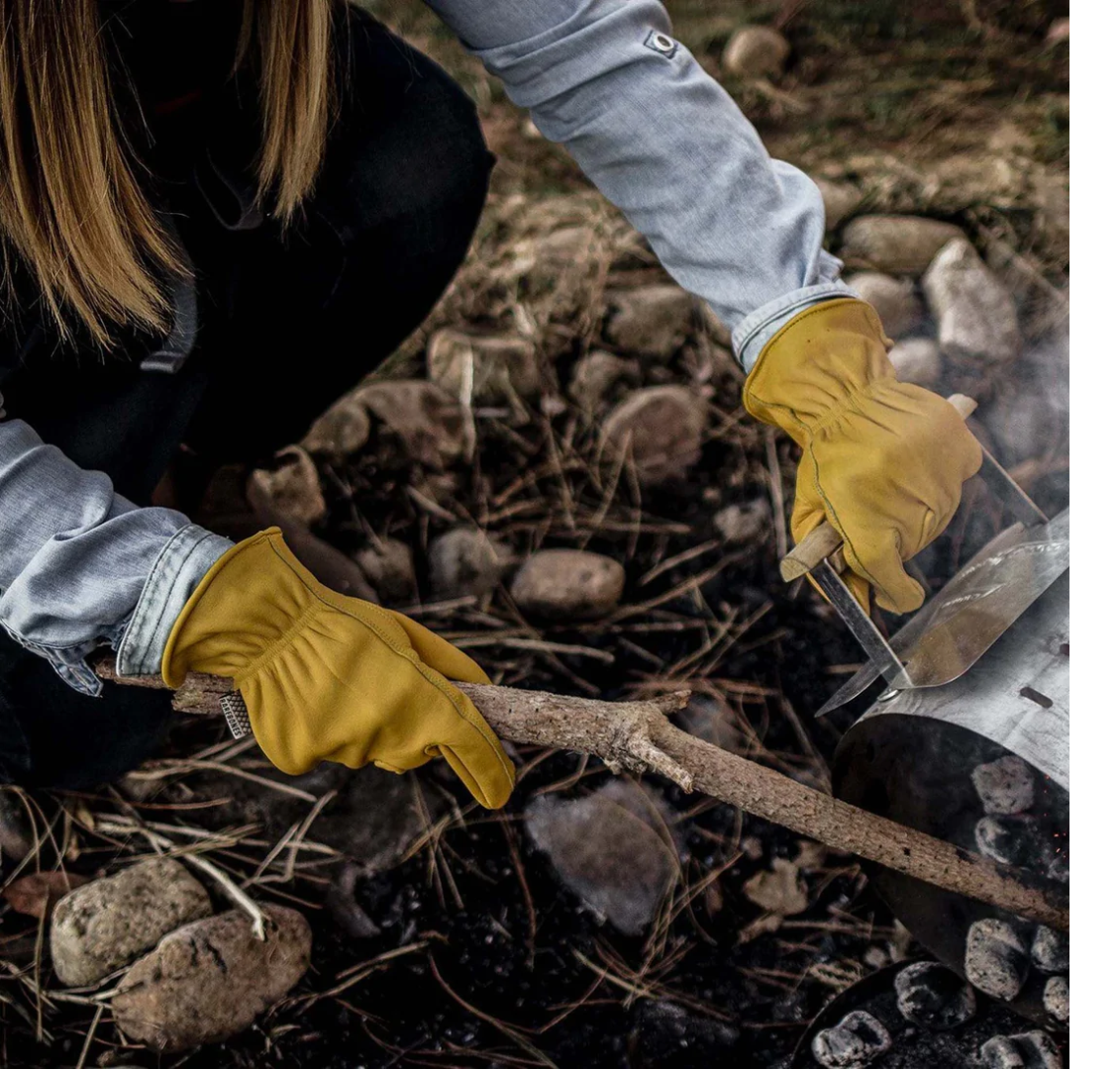 6C503D8E-8C70-4943-BBBB-EAB7687C4B63