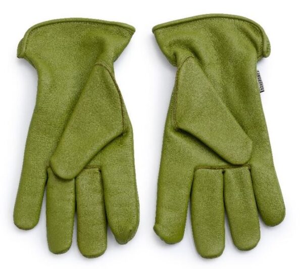 9FAA483B-37BC-4CEC-9D0F-9BDEA02D0B8D