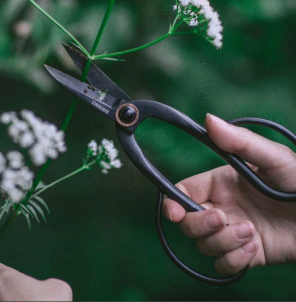 FD43A693-9D16-479C-9057-5E84F2286372